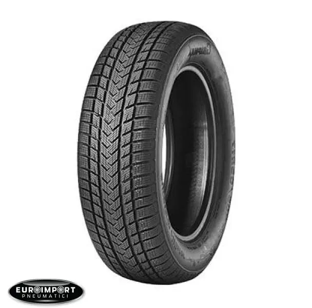 Gripmax Suregrip e winter  175/65 R17 87 V   TL